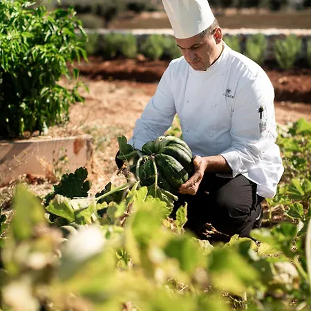 Masseria Auraterrae 滨海波利尼亚诺