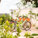 Masseria Auraterrae